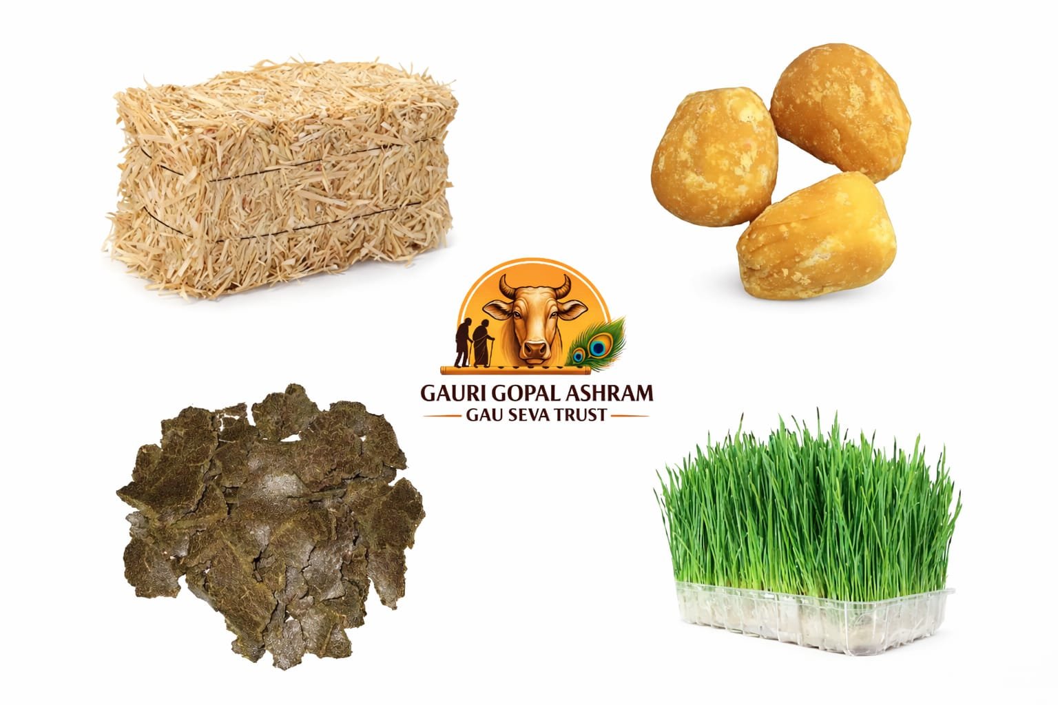 A mission to protect and heal every voiceless being